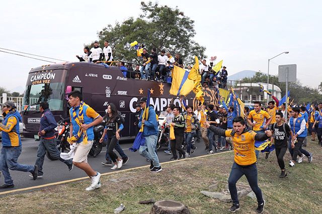 Tigres campeon
